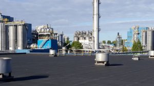 Dak Noord holland 3