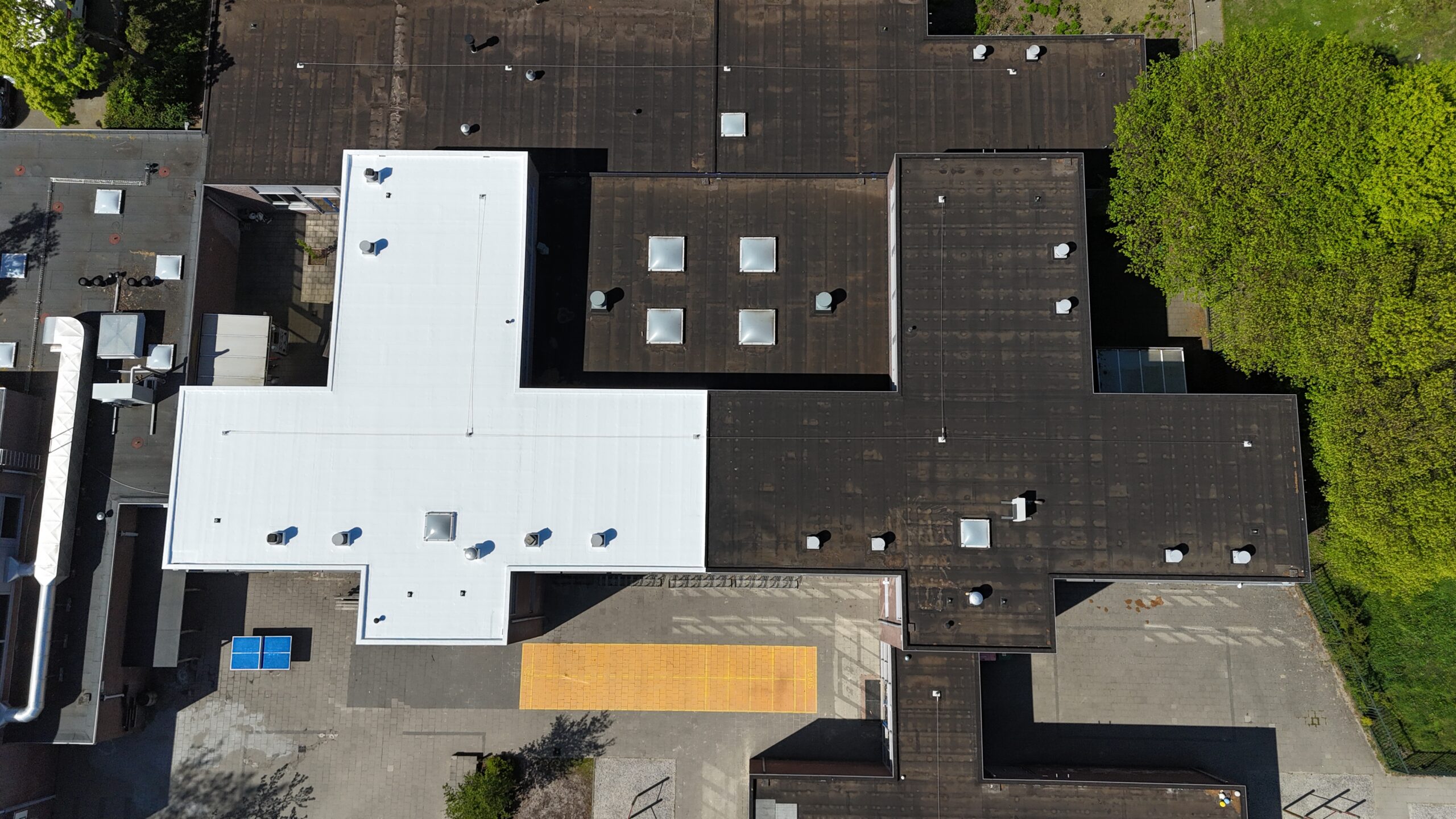 Proefdak Basisschool Den-Bosch