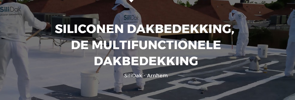 Dak onderhoud met Silicone Dakcoating